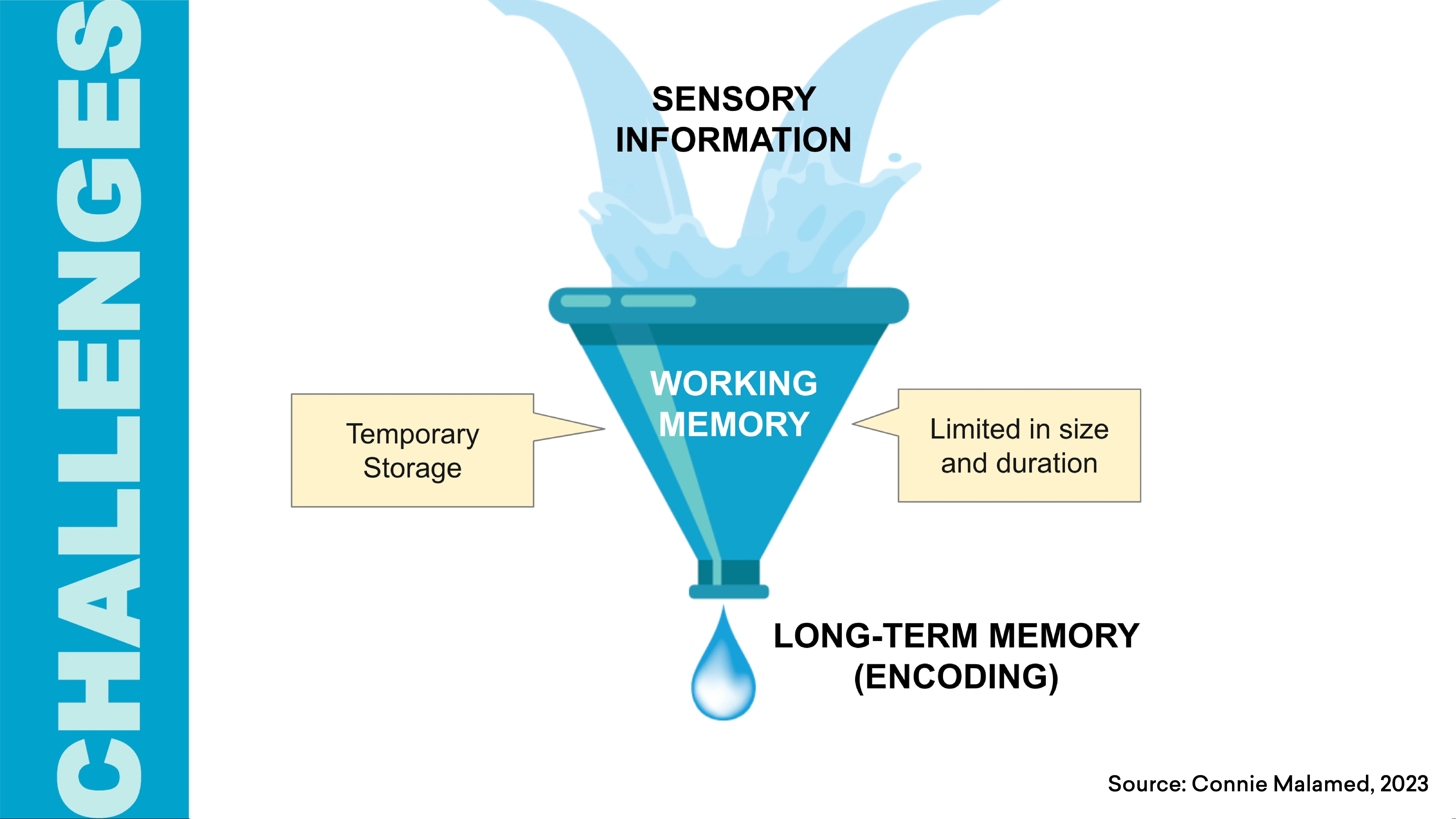 The image aims to explain how information overload, working memory, and long-term memory intertwine.